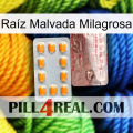 Raíz Malvada Milagrosa new13